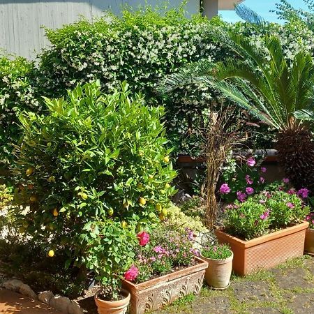 B&B Villa Noemi Formia Extérieur photo