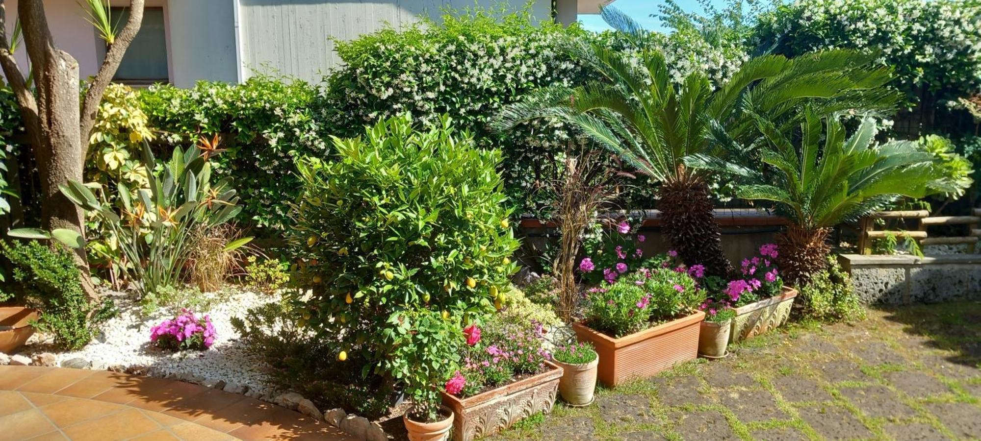 B&B Villa Noemi Formia Extérieur photo